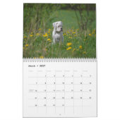 Mural J'aime le calendrier blanc des boxeurs 2017 (Mar 2027)