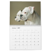 Mural J'aime le calendrier blanc des boxeurs 2017 (Jan 2027)