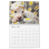 Mural J'aime le calendrier blanc des boxeurs 2017 (Feb 2027)