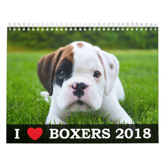 MURAL J'AIME MON CALENDRIER DES BOXEURS 2018 (Protection)