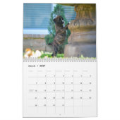 MURAL J'AIME MON CALENDRIER DES BOXEURS 2018 (Mar 2027)