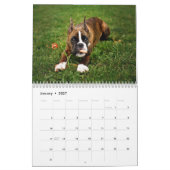 MURAL J'AIME MON CALENDRIER DES BOXEURS 2018 (Jan 2027)
