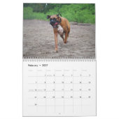 MURAL J'AIME MON CALENDRIER DES BOXEURS 2018 (Feb 2027)