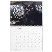 Mural Je suis DANS LE CALENDRIER des CHATS 2018 par (Jan 2027)