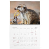 Mural KMP Meerkats - calendrier 2014 (Jan 2027)