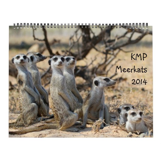 Mural KMP Meerkats - calendrier 2014 (Protection)