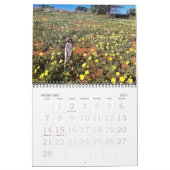 Mural KMP Meerkats - calendrier 2015 (Feb 2027)