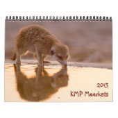 Mural KMP Meerkats - calendrier 2015 (Protection)