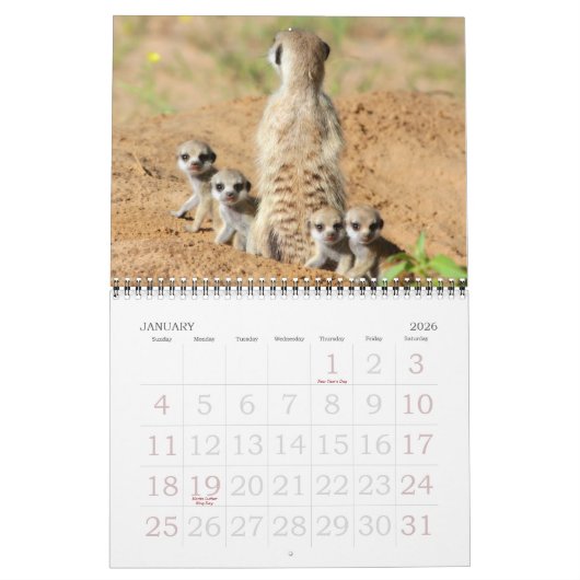 Mural KMP Meerkats - calendrier 2015 (Jan 2026)
