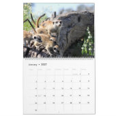 Mural KMP Meerkats - calendrier 2017 (Jan 2027)