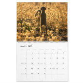 Mural KMP Meerkats - calendrier 2017 (Mar 2027)