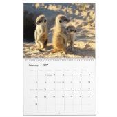Mural KMP Meerkats - calendrier 2017 (Feb 2027)