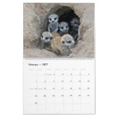 Mural KMP Meerkats - calendrier 2018 (Feb 2027)