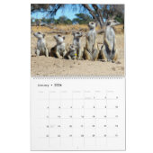 Mural KMP Meerkats - calendrier 2018 (Jan 2026)