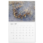 Mural KMP Meerkats - calendrier 2018 (Mar 2027)