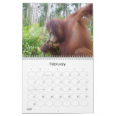 Mural Krista Orangutan calendrier caritatif de la faune (Feb 2027)