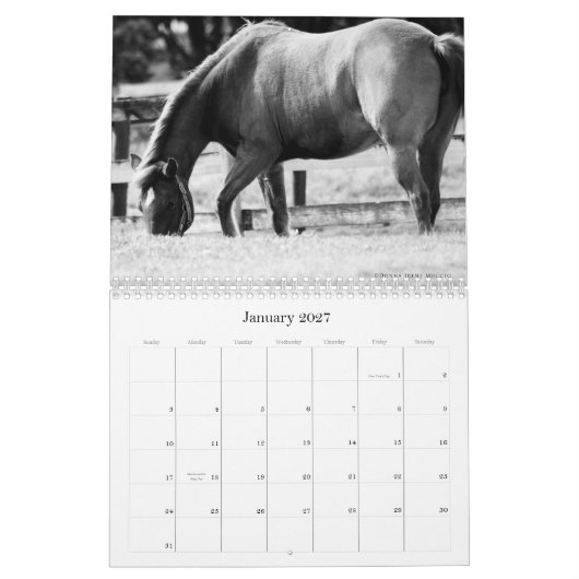 Mural La beauté du calendrier de chevaux (Jan 2027)