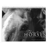 Mural La beauté du calendrier de chevaux (Protection)