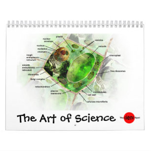 Mural L'art du calendrier de la Science