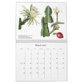 Mural Le cactus fleurit le calendrier (Mar 2027)