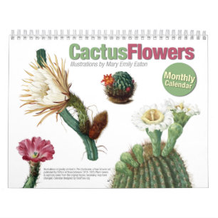 Mural Le cactus fleurit le calendrier