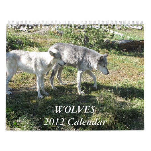 Mural Le calendrier 2012 de loup (Protection)