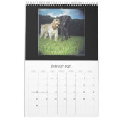 Mural Le calendrier 2 de couleur de projet de Holga - (Feb 2027)