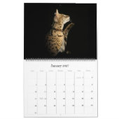 Mural Le calendrier africain de chat de Serval (Jan 2027)