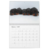 Mural Le calendrier de chiot de dobermann a mis à jour (Feb 2027)