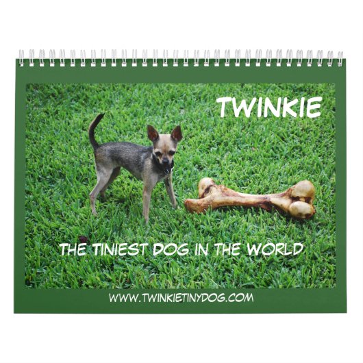 MURAL LE CALENDRIER DE TWINKIE (Protection)