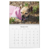 MURAL LE CALENDRIER DE TWINKIE (Jan 2026)