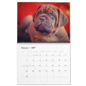 Mural Le Calendrier des Chiens en fin de compte (Feb 2027)