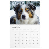 Mural Le Calendrier des Chiens en fin de compte (Jan 2027)