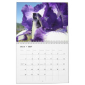 Mural Le CALENDRIER irise les fleurs pourpres d'iris de (Mar 2027)