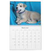 Mural Le coffre-fort remet le calendrier 2015 (Mar 2027)