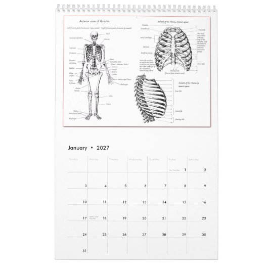 Mural Le DEM désosse le calendrier (Jan 2027)