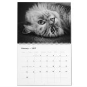 Mural Le nouveau calendrier sibérien 2017 de chat (Feb 2027)