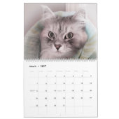Mural Le nouveau calendrier sibérien 2017 de chat (Mar 2027)