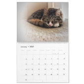 Mural Le nouveau calendrier sibérien 2017 de chat (Jan 2027)