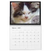 Mural Leçons de la vie d'un calendrier de chat (Feb 2027)