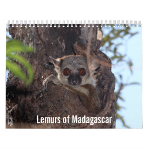 Mural Lémurs de calendrier du Madagascar