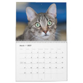 Mural Les Chats de Chats Cradle Shelter 2014 Calendrier (Mar 2027)