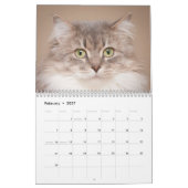 Mural Les Chats de Chats Cradle Shelter 2014 Calendrier (Feb 2027)