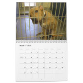 Mural Les colliers vrais du calendrier des chiens 2010 (Mar 2026)