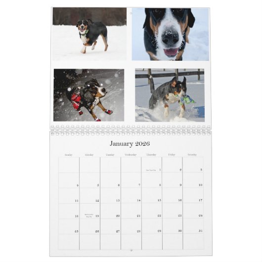 Mural Les Suisses lèchent le calendrier 2011 de Swissies (Jan 2026)