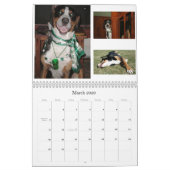 Mural Les Suisses lèchent le calendrier 2011 de Swissies (Mar 2026)