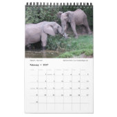 Mural Lever de soleil au-dessus du calendrier de Wildli (Feb 2027)