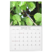 Mural Libellules - gemmes du calendrier de l'air 2013 (Feb 2027)