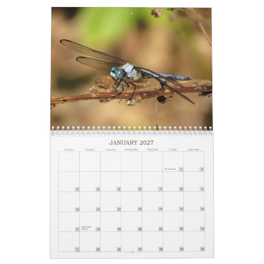 Mural Libellules - gemmes du calendrier de l'air 2013 (Jan 2027)