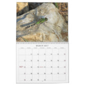 Mural Libellules - gemmes du calendrier de l'air 2013 (Mar 2027)